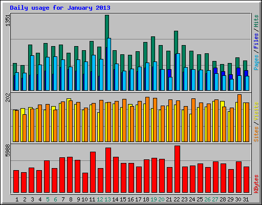 Daily usage for January 2013