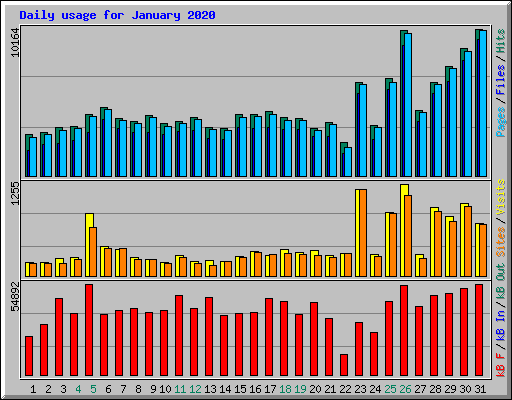 Daily usage for January 2020