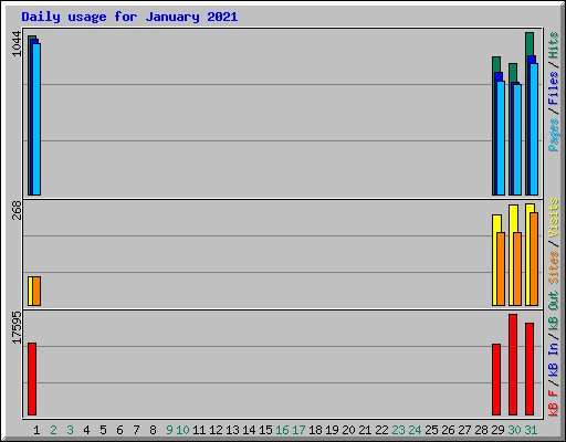 Daily usage for January 2021