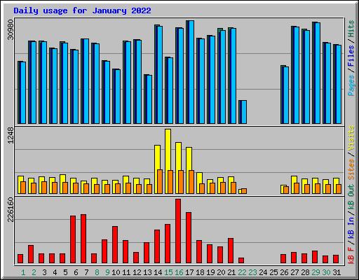 Daily usage for January 2022