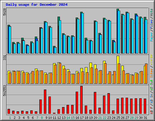 Daily usage for December 2024