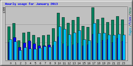 Hourly usage for January 2013