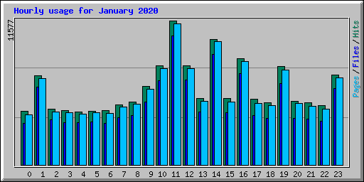 Hourly usage for January 2020