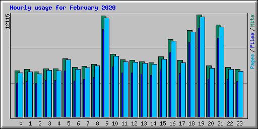 Hourly usage for February 2020