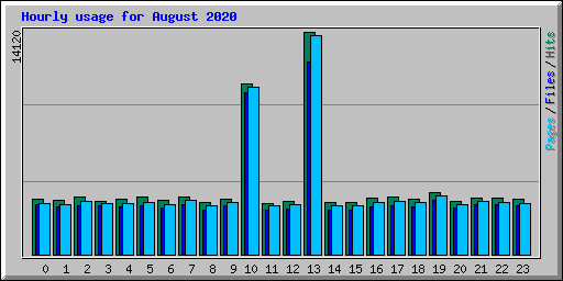 Hourly usage for August 2020