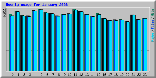 Hourly usage for January 2023