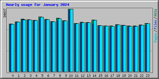 Hourly usage for January 2024