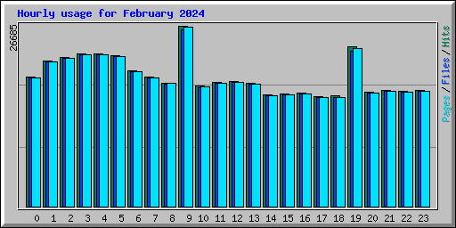 Hourly usage for February 2024