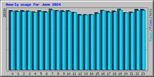 Hourly usage for June 2024