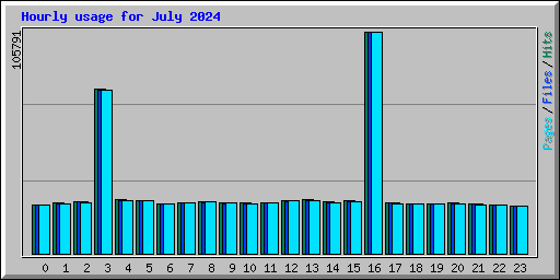 Hourly usage for July 2024