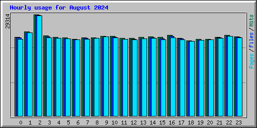 Hourly usage for August 2024