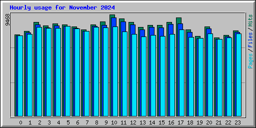 Hourly usage for November 2024