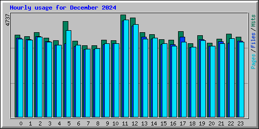 Hourly usage for December 2024