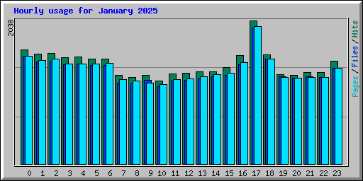 Hourly usage for January 2025