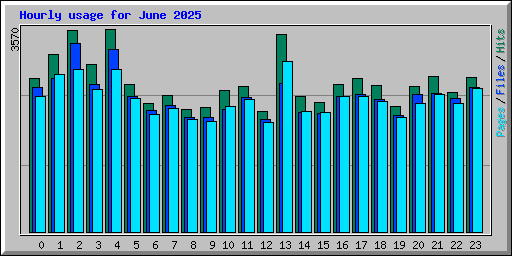 Hourly usage for June 2025