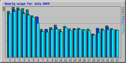 Hourly usage for July 2025