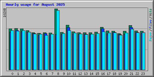 Hourly usage for August 2025