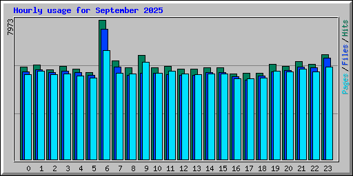Hourly usage for September 2025