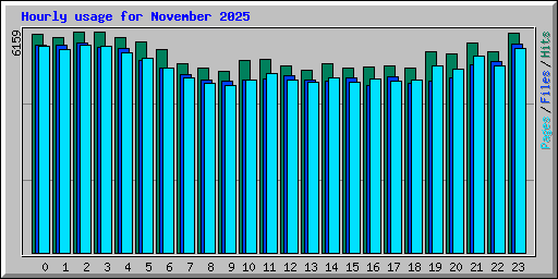 Hourly usage for November 2025