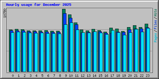 Hourly usage for December 2025