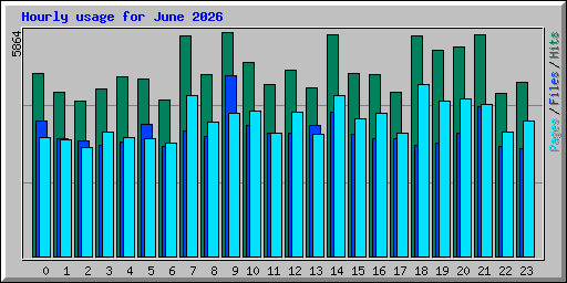 Hourly usage for June 2026