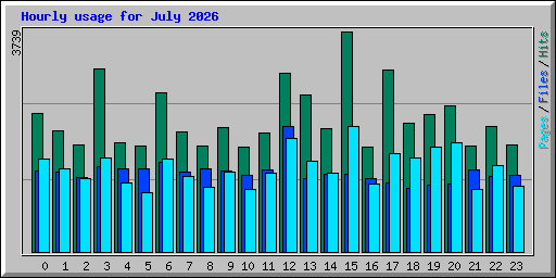 Hourly usage for July 2026